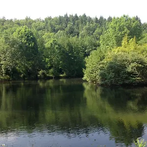 domaine-du-moulin.midi-pyreneeshotels.com/